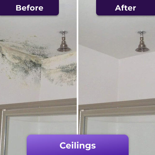 GelenixPro image